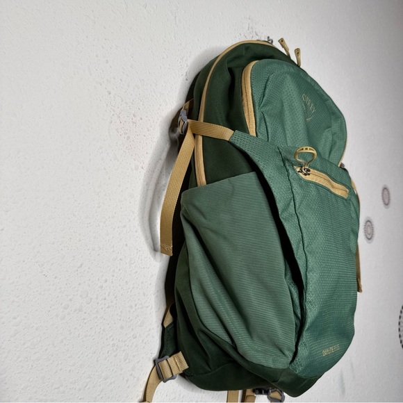 Osprey Forest Green Daylite Plus Backpack - Picture 5 of 15